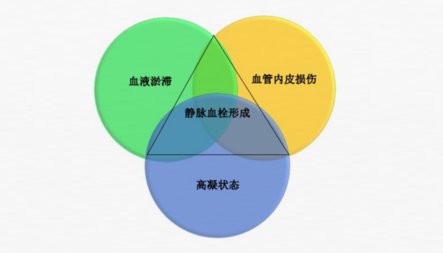 沉默殺手 VTE，如何進行抗凝治療？三問搞懂
