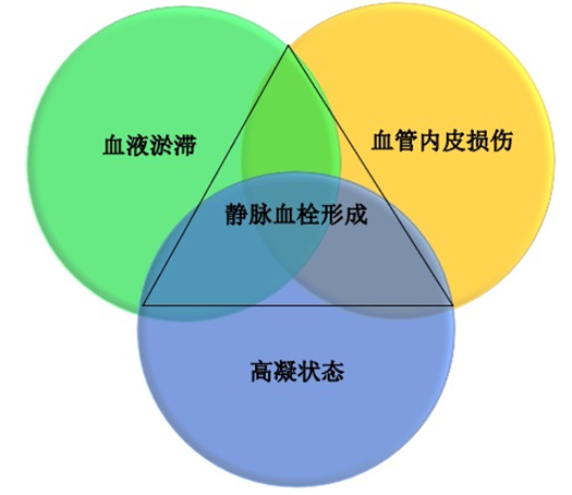 沉默殺手 VTE，如何進(jìn)行抗凝治療？三問搞懂