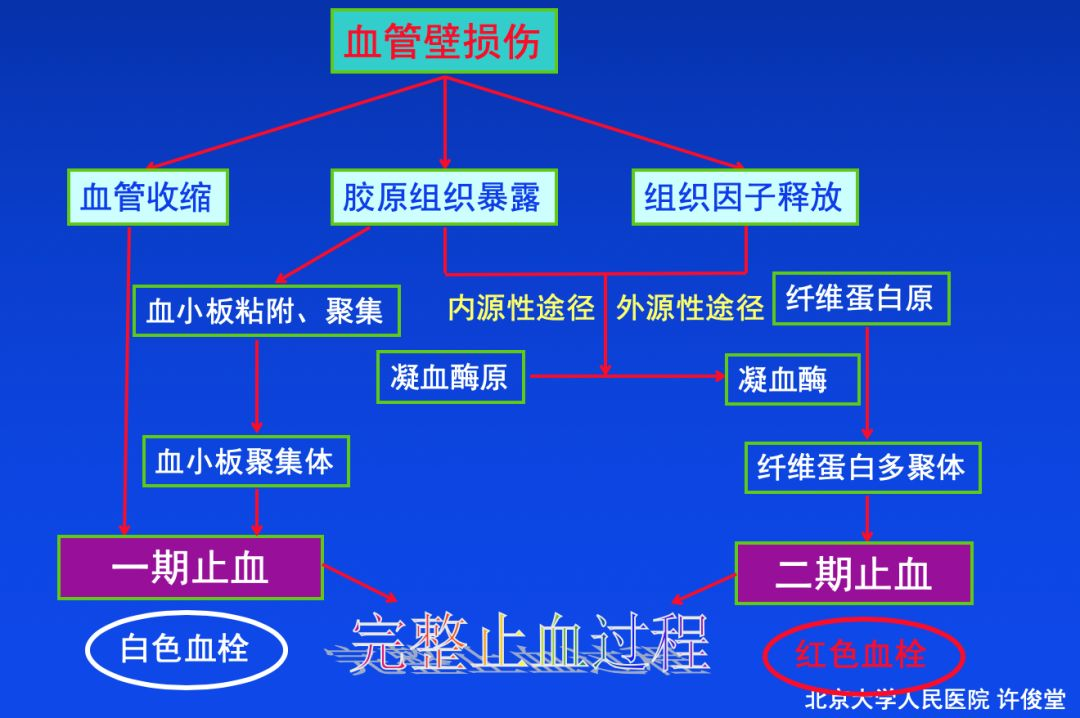 血栓形成，三個要素細(xì)分說